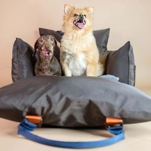 LUTHER BENNETTTRAVEL DOG POD